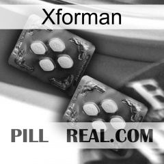 Xforman 01